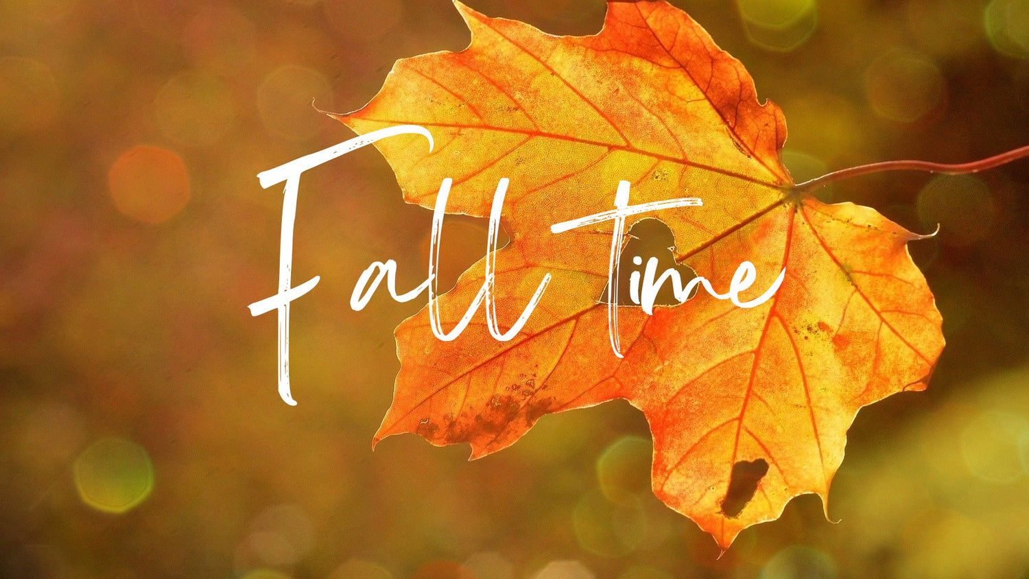 Fall Time 🍁